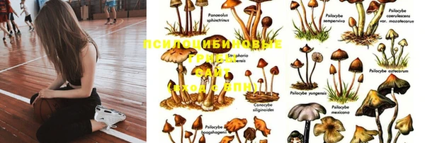 spice Гусь-Хрустальный