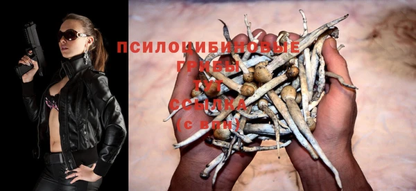 мяу мяу мука Гусев