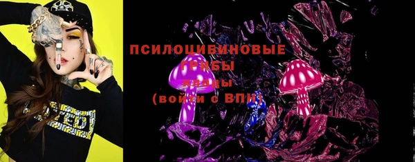 spice Гусь-Хрустальный