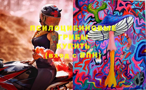 spice Гусь-Хрустальный