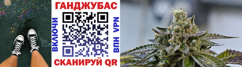 Бошки марихуана MAZAR  Купить где  Новомичуринск 